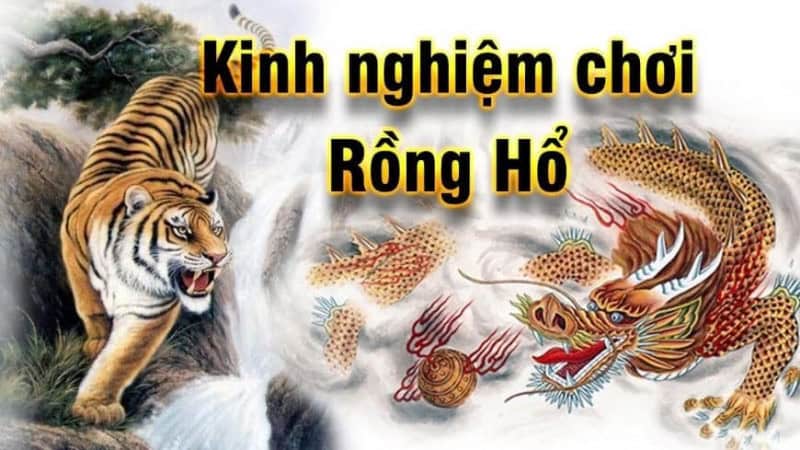 Một số mẹo chơi Rồng hổ TDTC cực hay